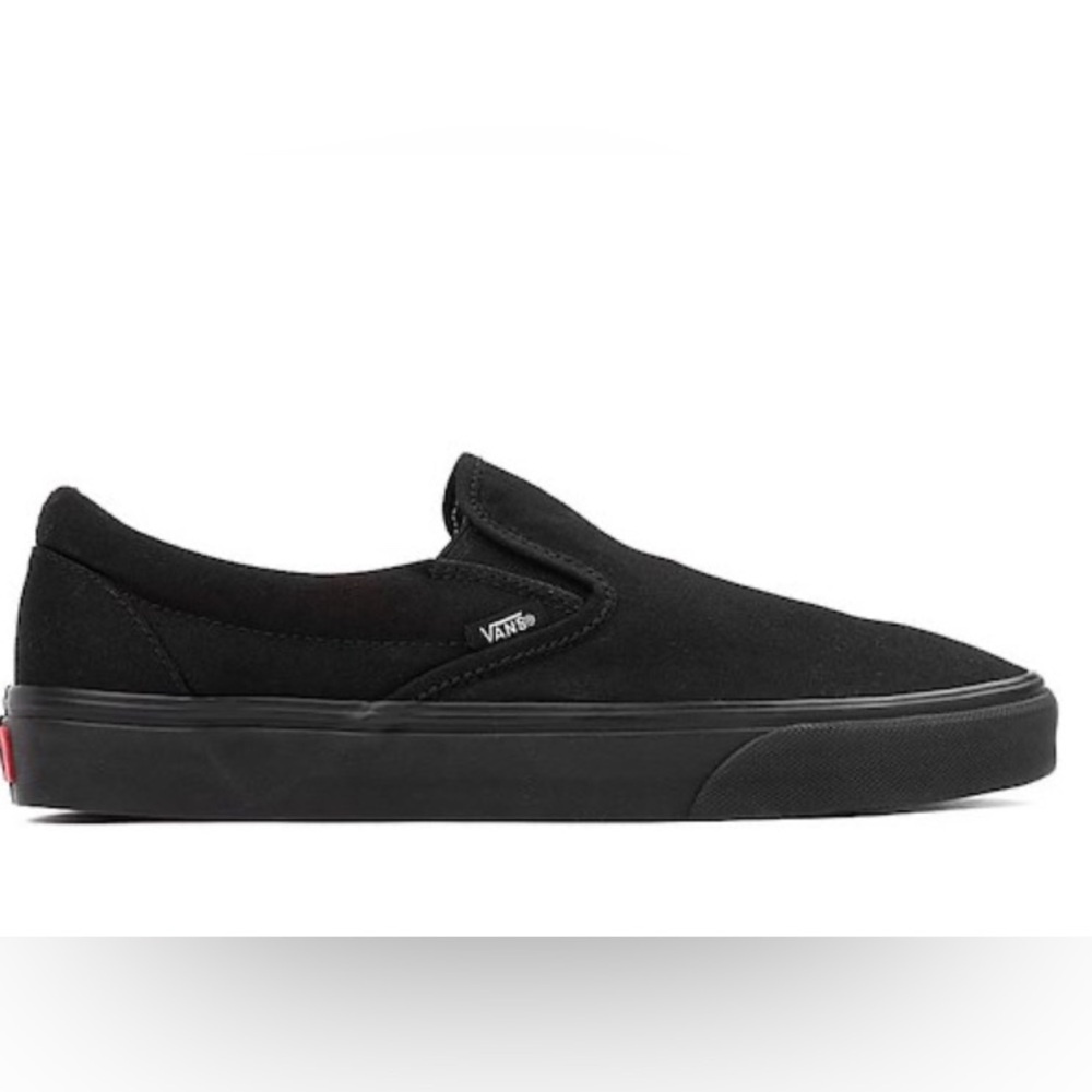 Vans Black Monochrome Skate Shoes